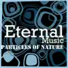 Evgeny Solgalov - Particles of Nature - EP